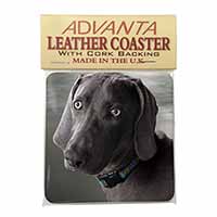 Weimaraner Dog  Single Leather Photo Coaster