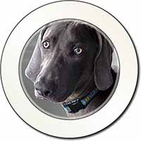 Weimaraner Dog  Car or Van Permit Holder/Tax Disc Holder