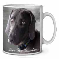 Weimaraner Dog 