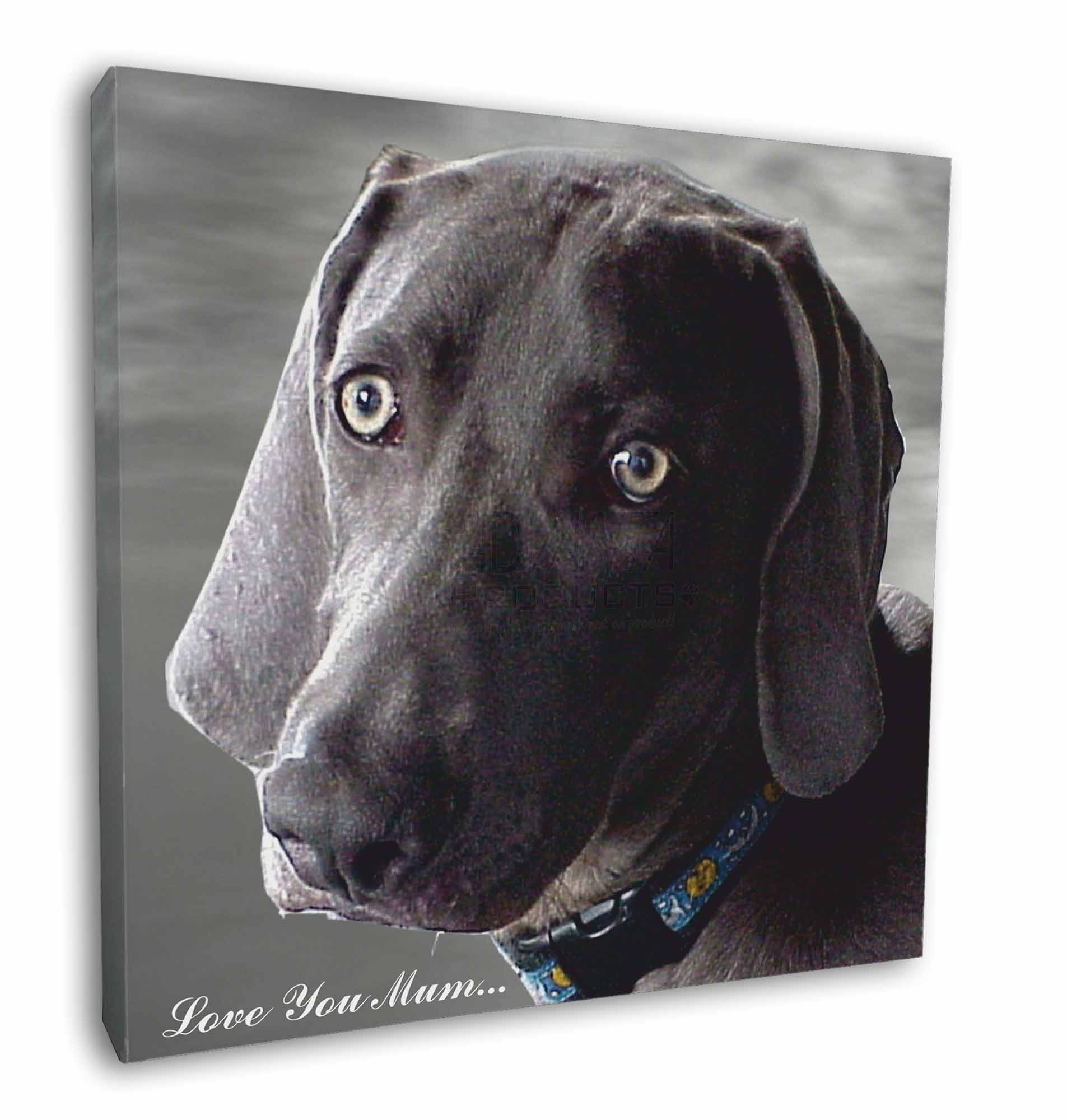 Weimaraner Dog Love You Mum 12 X12 Wall Art Canvas Decor Pict