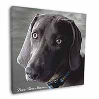 Weimaraner Dog 