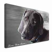 Weimaraner Dog 