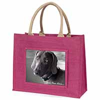 Weimaraner Dog 