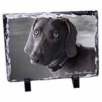 Weimaraner Dog 