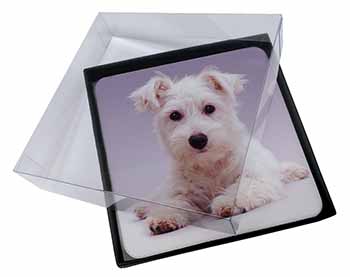 4x West Highland Terrier Dog Picture Table Coasters Set in Gift Box