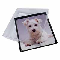 4x West Highland Terrier Dog Picture Table Coasters Set in Gift Box