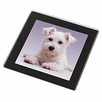 West Highland Terrier Dog Black Rim High Quality Glass Coaster
