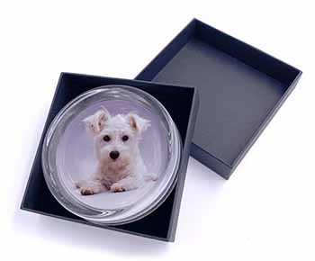 West Highland Terrier Dog Glass Paperweight in Gift Box