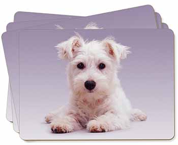 West Highland Terrier Dog Picture Placemats in Gift Box