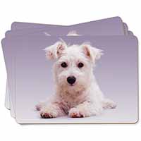 West Highland Terrier Dog Picture Placemats in Gift Box