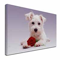 West Highland Terrier with Rose Canvas X-Large 30"x20" Wall Art Print