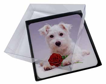4x West Highland Terrier with Rose Picture Table Coasters Set in Gift Box