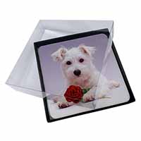 4x West Highland Terrier with Rose Picture Table Coasters Set in Gift Box