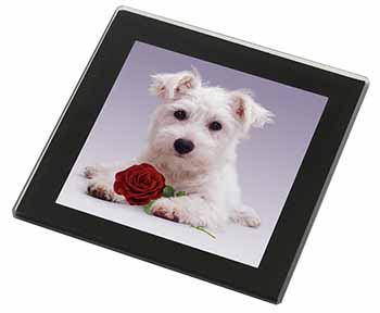 West Highland Terrier with Rose Black Rim High Quality Glass Coaster