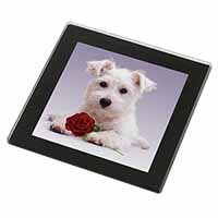 West Highland Terrier with Rose Black Rim High Quality Glass Coaster