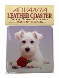 West Highland Terrier with Rose Single Leather Photo Coaster