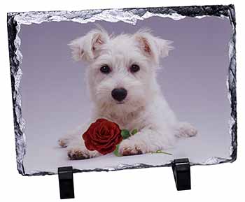 West Highland Terrier with Rose, Stunning Photo Slate