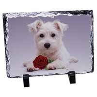 West Highland Terrier with Rose, Stunning Photo Slate