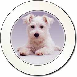 West Highland Terrier Dog Car or Van Permit Holder/Tax Disc Holder