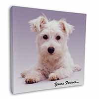 West Highland Terrier 