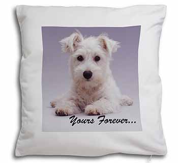 West Highland Terrier 