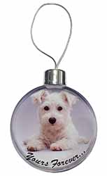 West Highland Terrier 