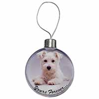 West Highland Terrier 