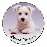 West Highland Terrier 