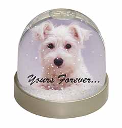 West Highland Terrier 