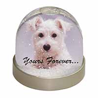 West Highland Terrier 