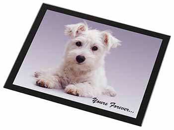 West Highland Terrier 