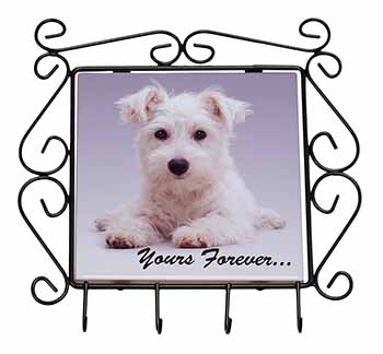 West Highland Terrier 