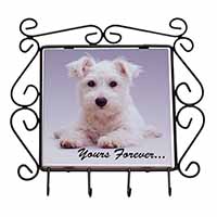 West Highland Terrier 