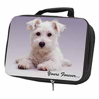 West Highland Terrier 