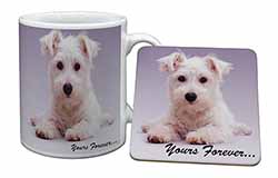 West Highland Terrier 