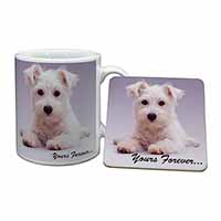 West Highland Terrier 