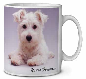 West Highland Terrier 