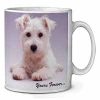 West Highland Terrier 