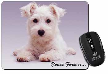 West Highland Terrier 