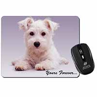 West Highland Terrier 