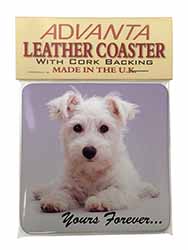 West Highland Terrier 