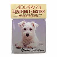 West Highland Terrier 