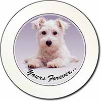 West Highland Terrier 