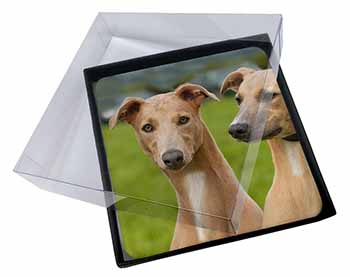 4x Whippet Dogs Picture Table Coasters Set in Gift Box