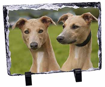 Whippet Dogs, Stunning Photo Slate
