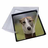 4x Whippet Dog Picture Table Coasters Set in Gift Box