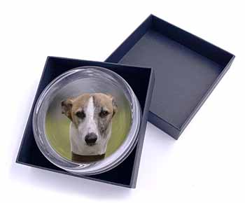 Whippet Dog Glass Paperweight in Gift Box