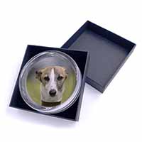 Whippet Dog Glass Paperweight in Gift Box