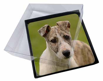 4x Whippet Puppy Picture Table Coasters Set in Gift Box