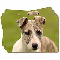 Whippet Puppy Picture Placemats in Gift Box